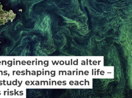 Phytoplankton blooms, seen by satellite in the Baltic Sea, pull carbon dioxide out of the atmosphere. European Space Agency via Flickr, CC BY-SA